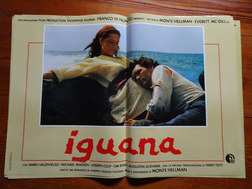 Iguana 1