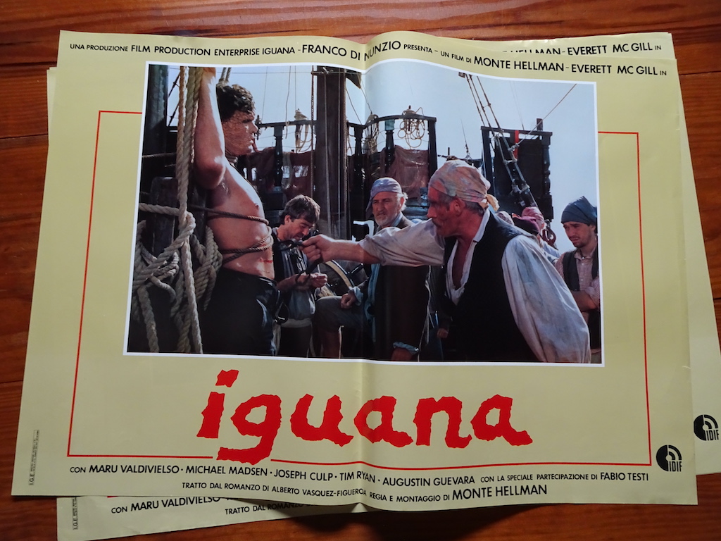 Iguana 4
