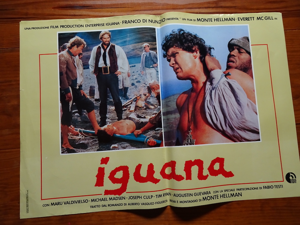 Iguana 5