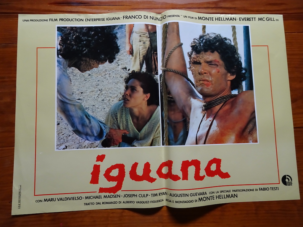 Iguana 6