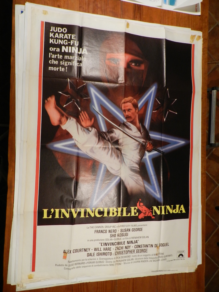 L_invincibile Ninja