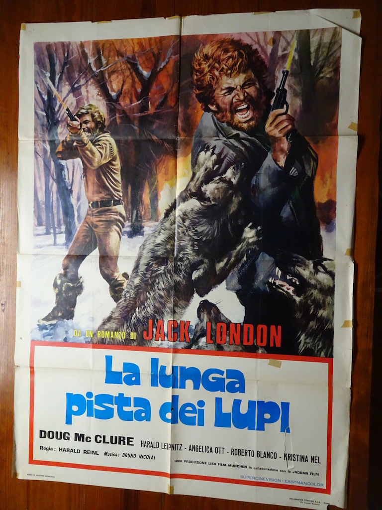 La lunga pista dei lupi