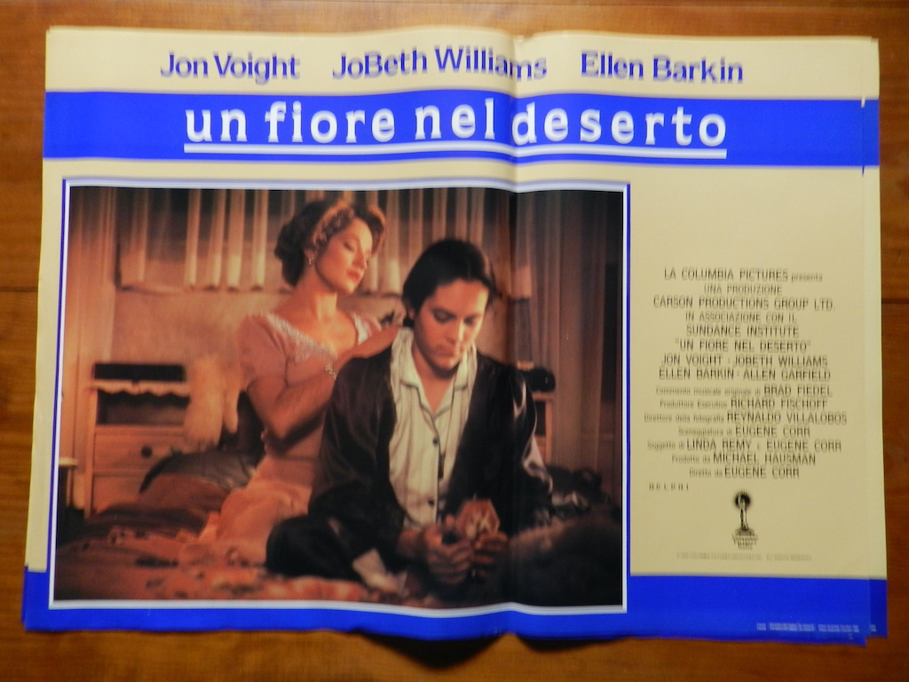 Un fiore nel deserto 2
