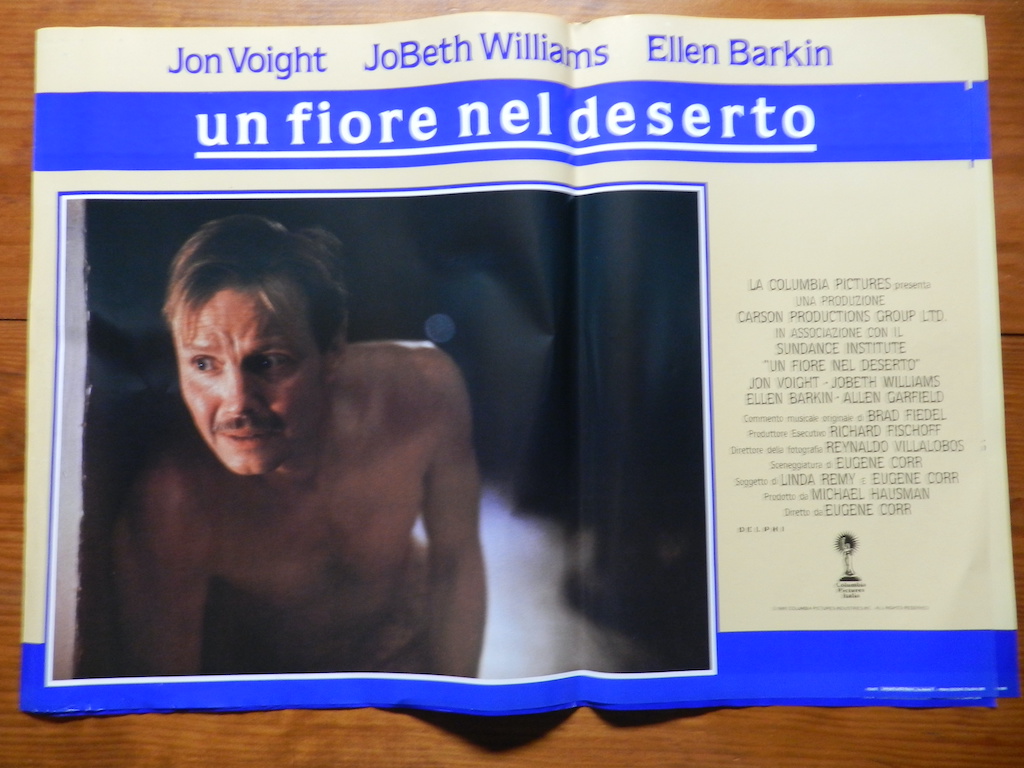 Un fiore nel deserto 3