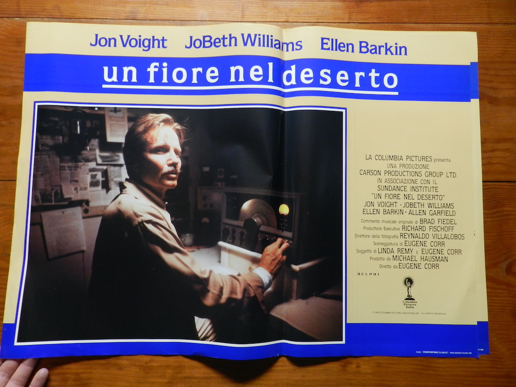 Un fiore nel deserto 4