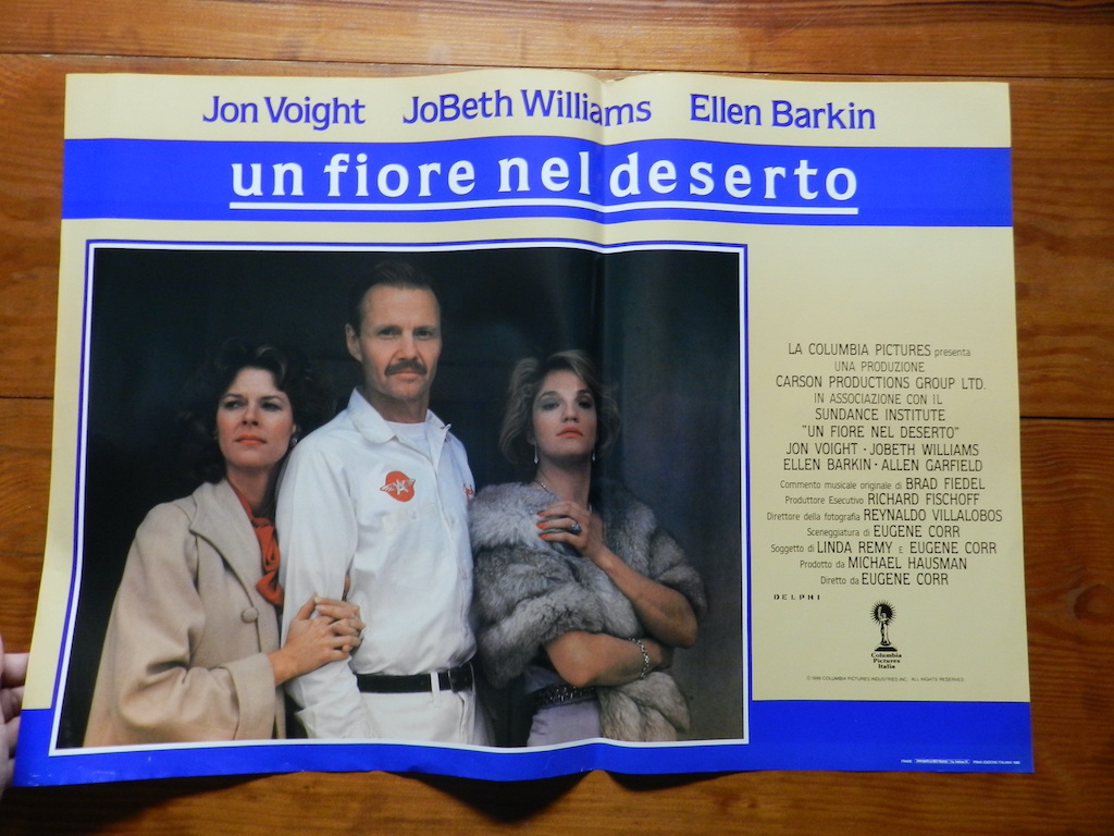 Un fiore nel deserto 6