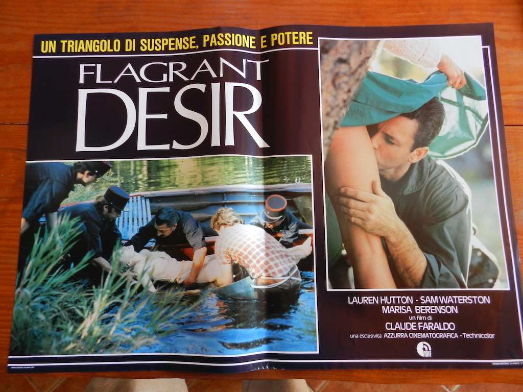 Flagrant désir 2