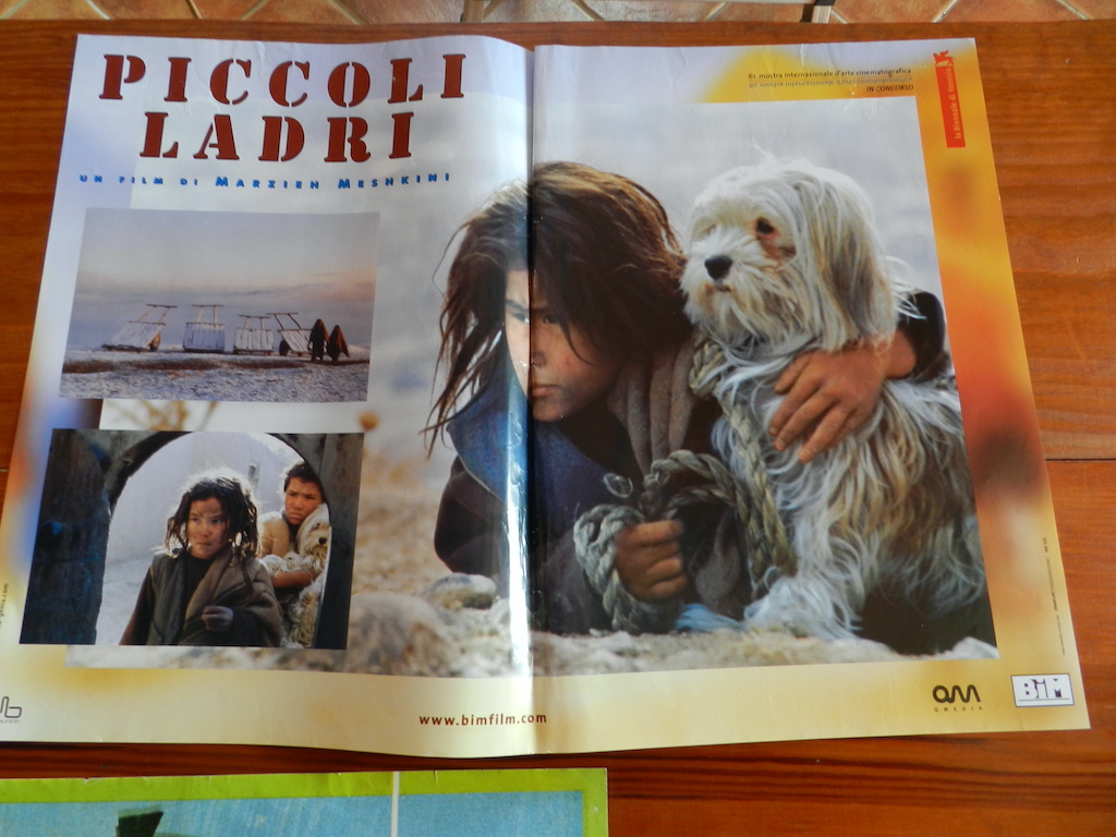 Piccoli ladri