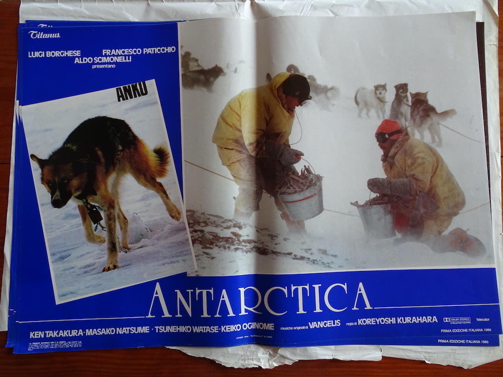 Antarctica 1