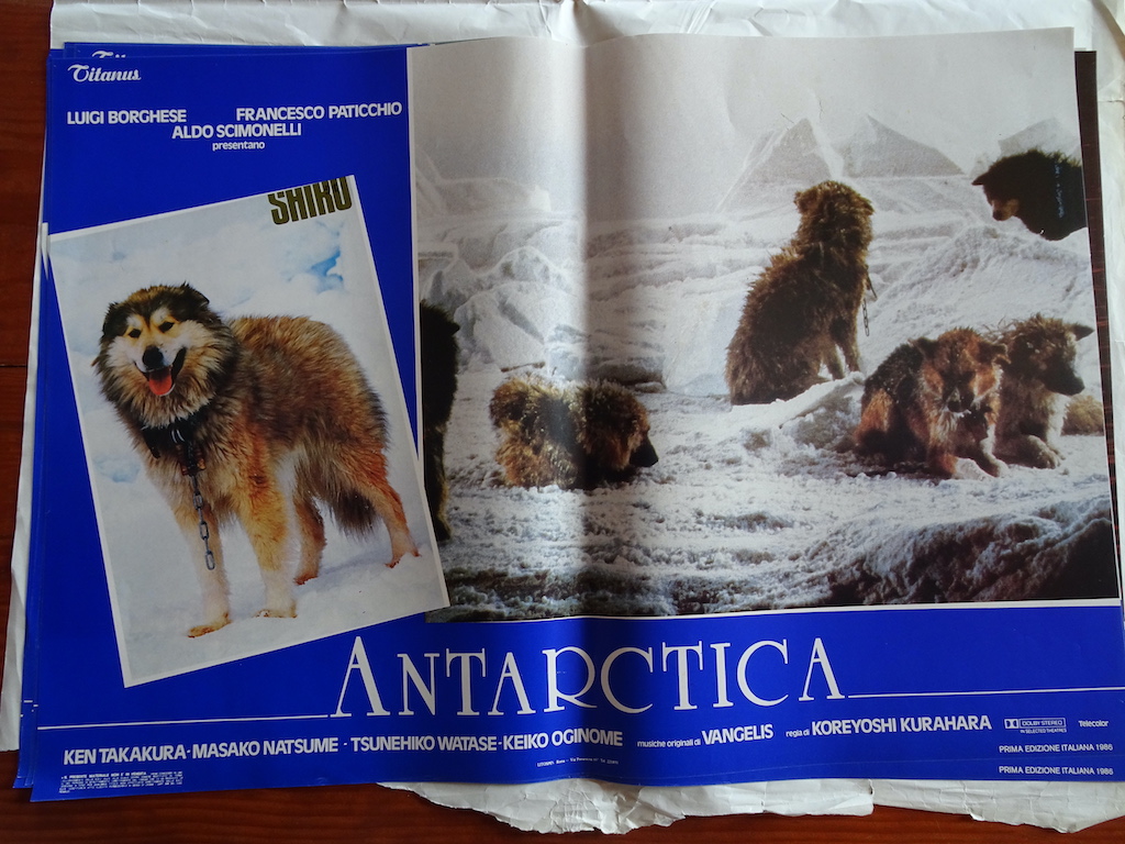 Antarctica 2