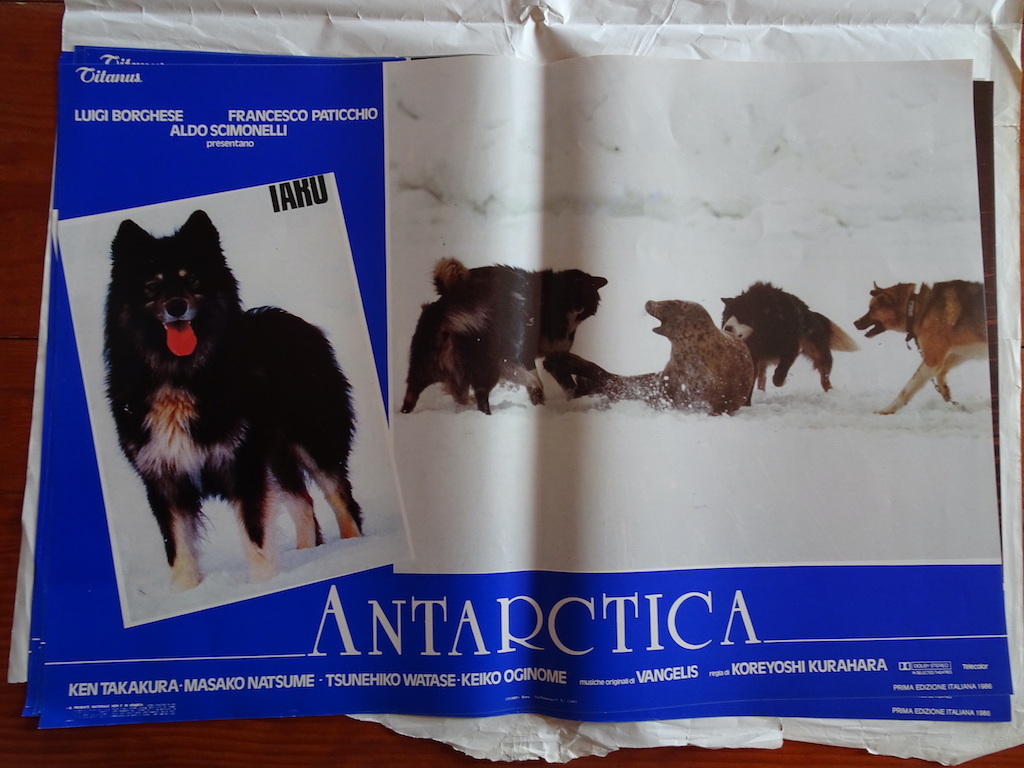 Antarctica 3