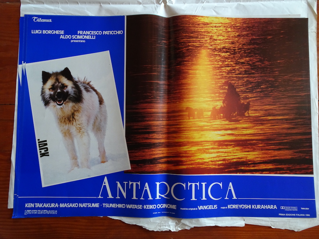 Antarctica 4