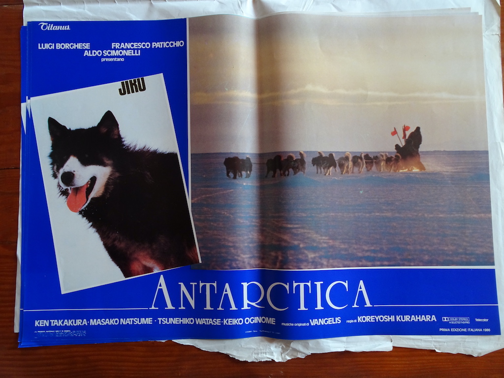 Antarctica 5
