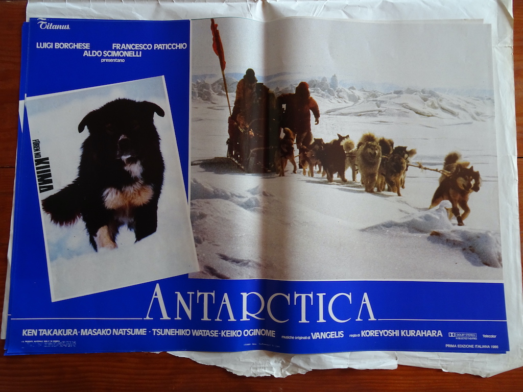 Antarctica 6