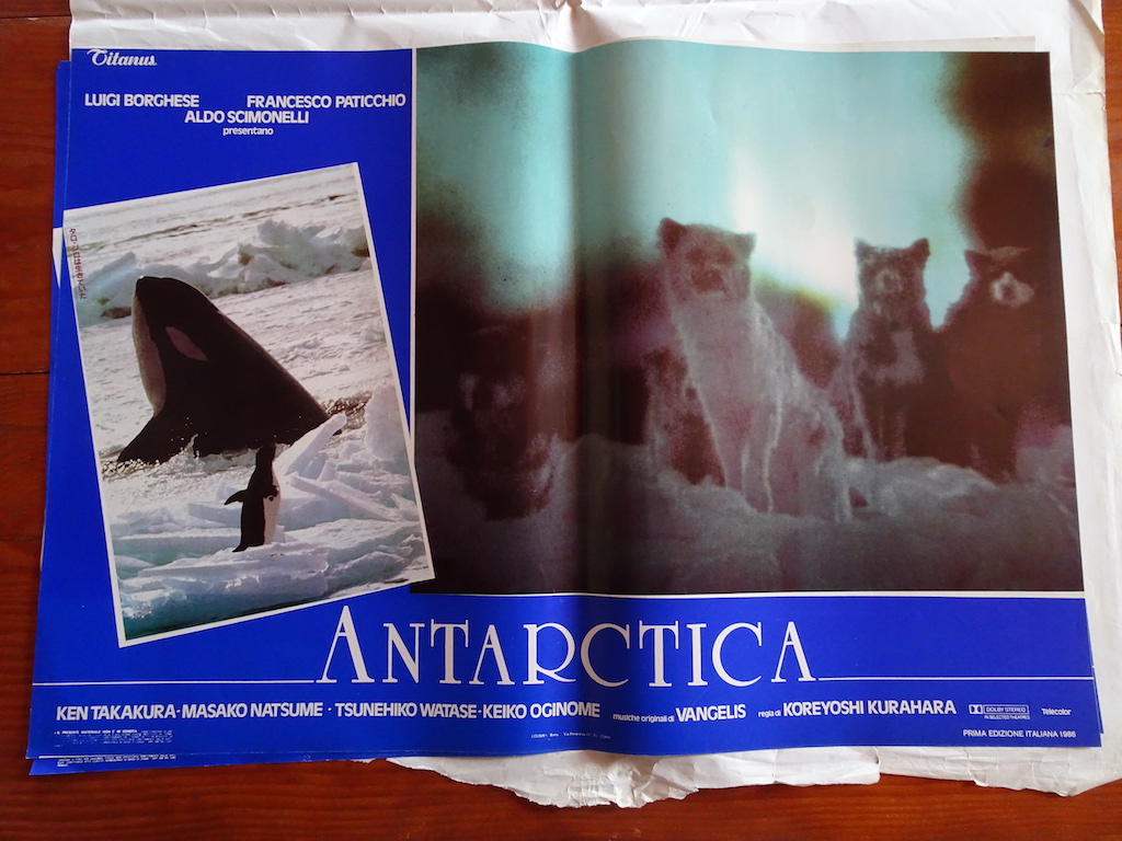 Antarctica 7