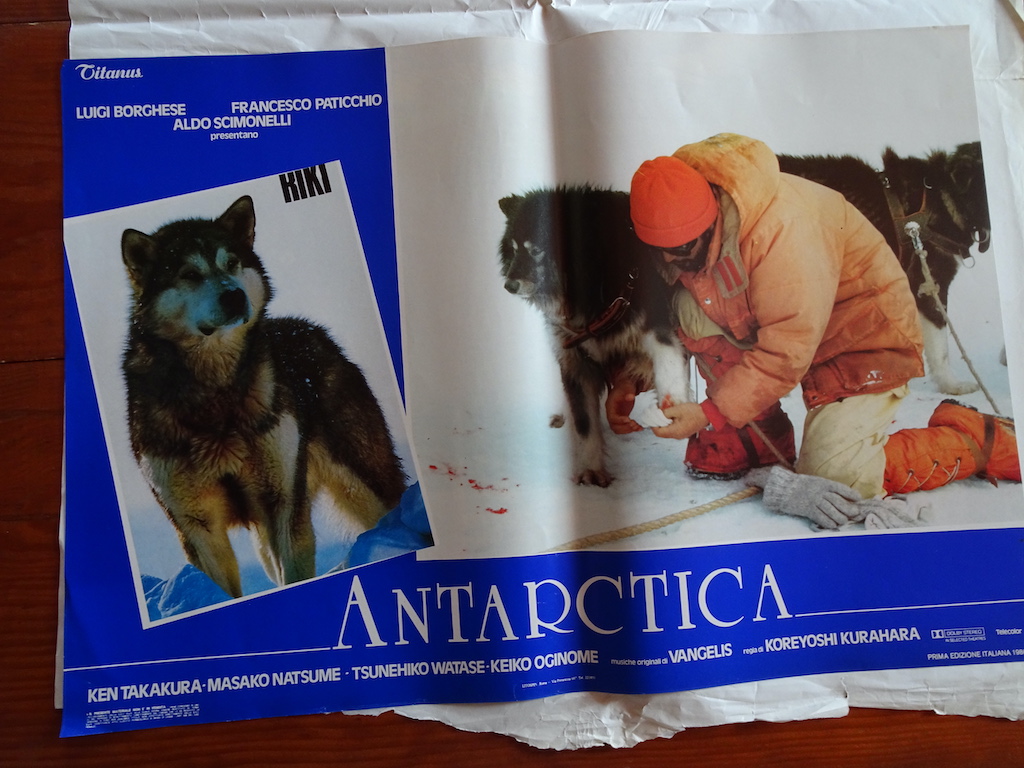 Antarctica 8
