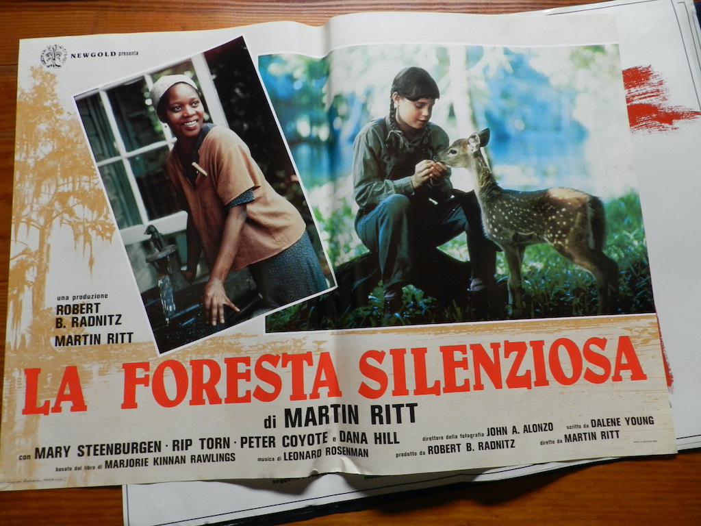 La foresta silenziosa 6