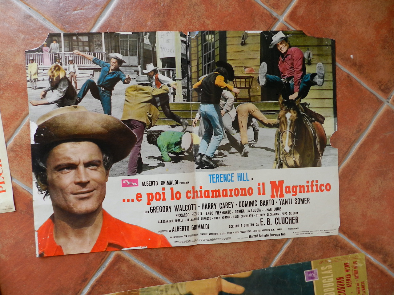 E poi lo chiamarono il magnifico
