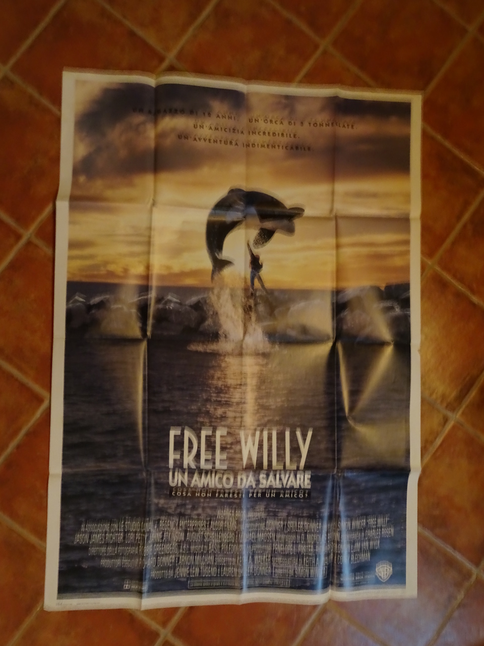 Free Willy - Un amico da salvare