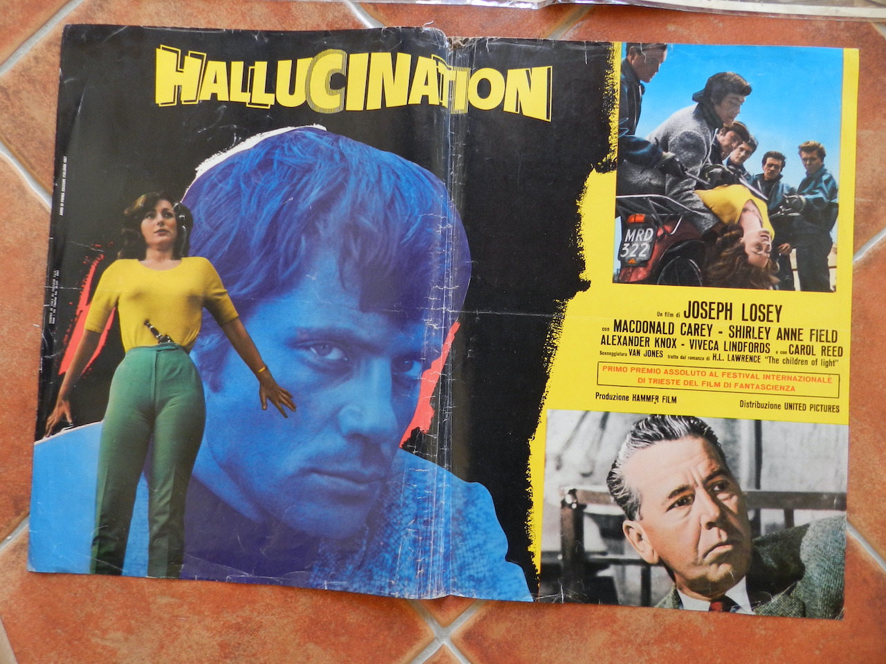 Hallucination