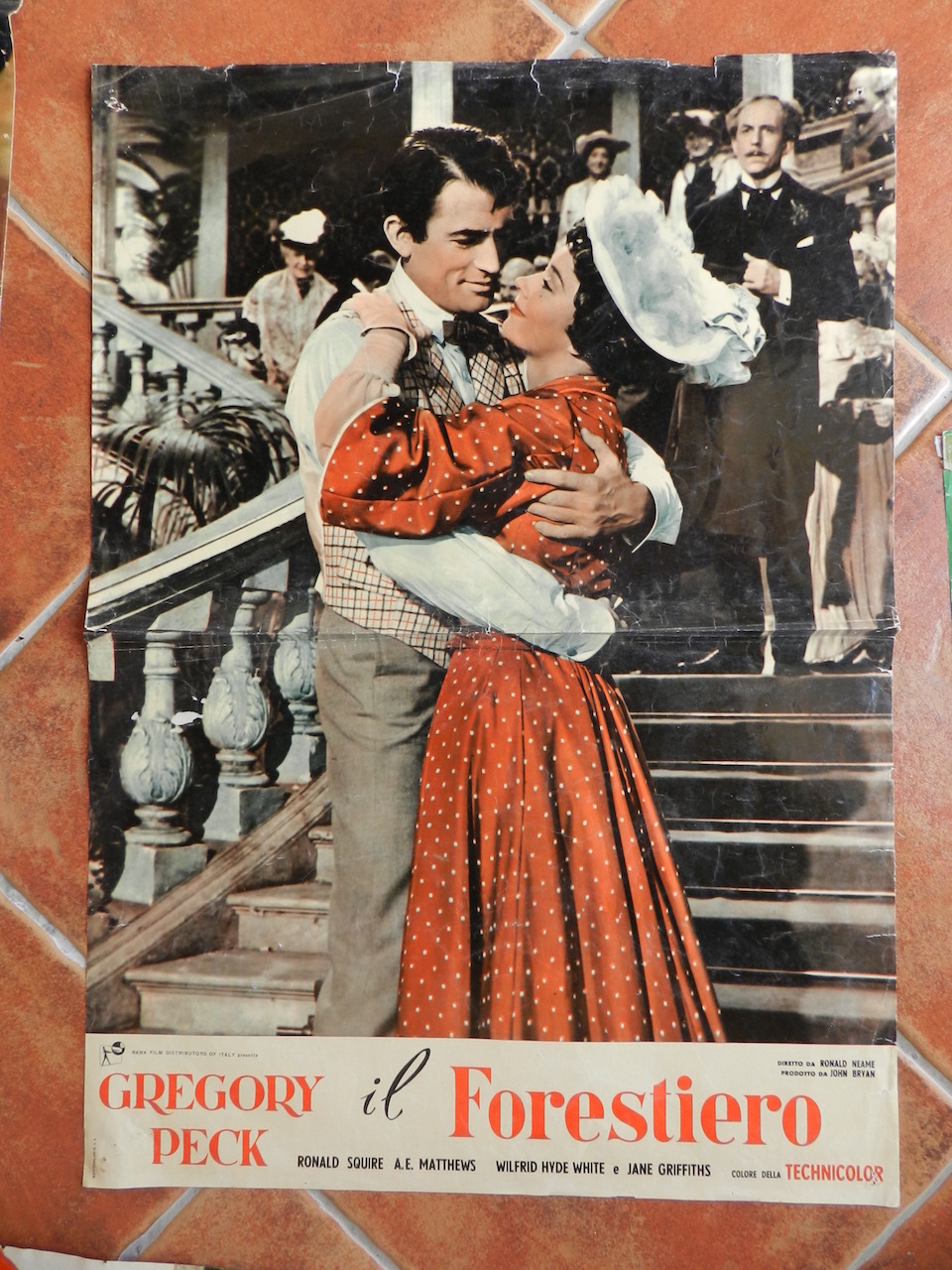 Il forestiero