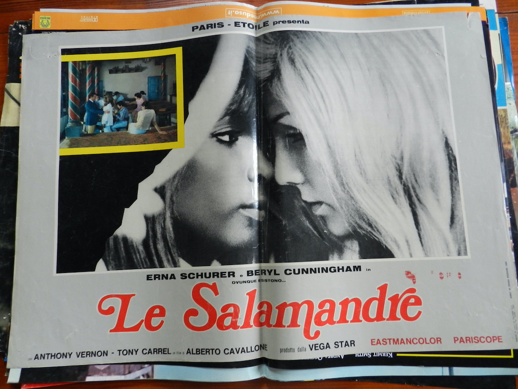 Le salamandre