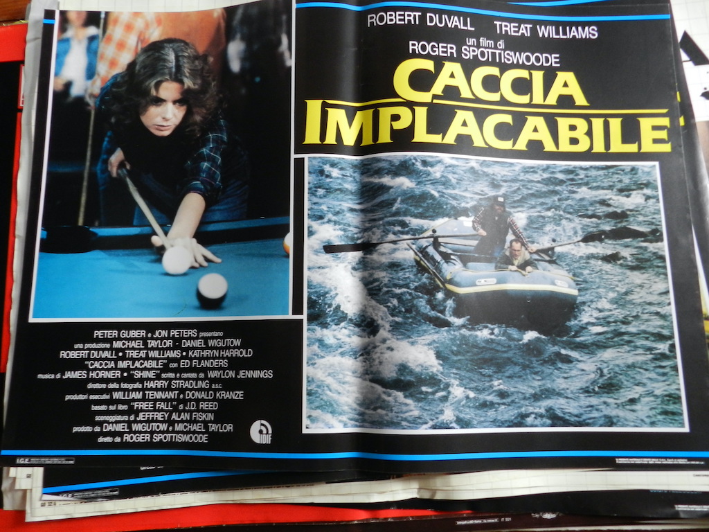Caccia implacabile 5