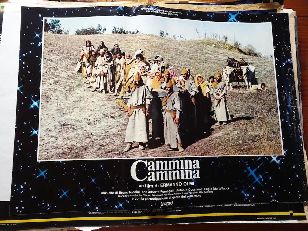 Cammina, cammina 8