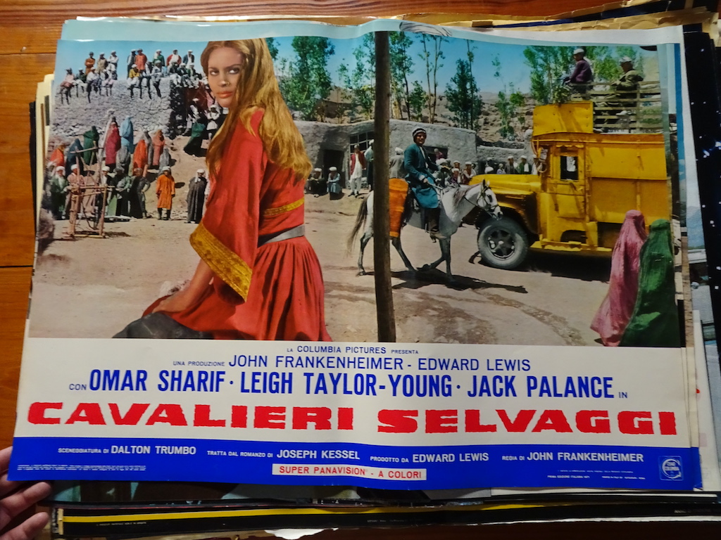 Cavalieri selvaggi 3