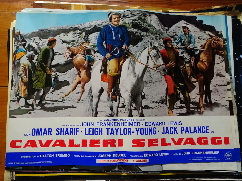Cavalieri selvaggi 5
