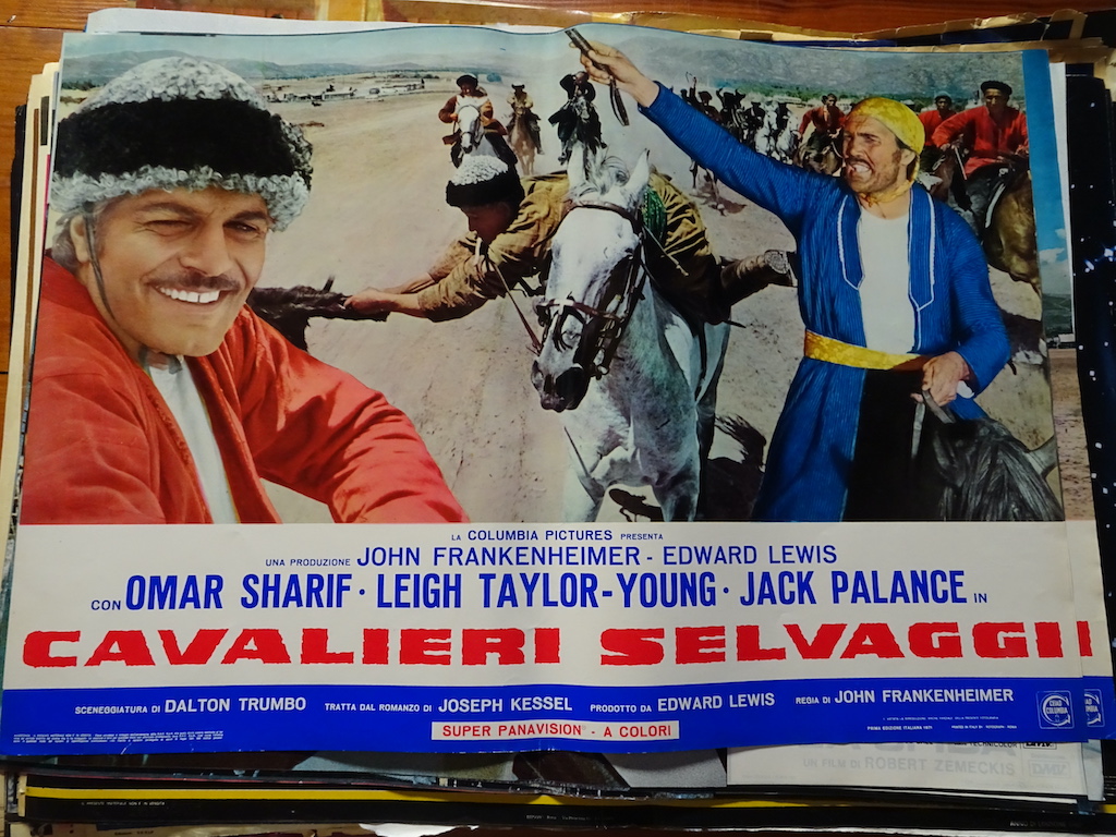 Cavalieri selvaggi 7