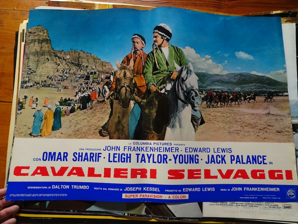 Cavalieri selvaggi 9