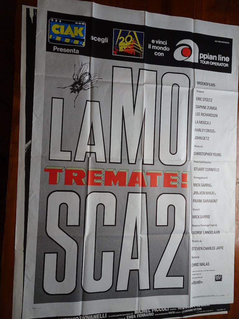 La mosca 2