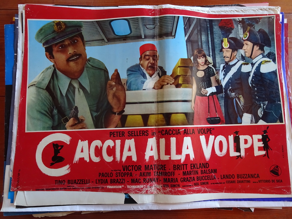 Caccia alla volpe