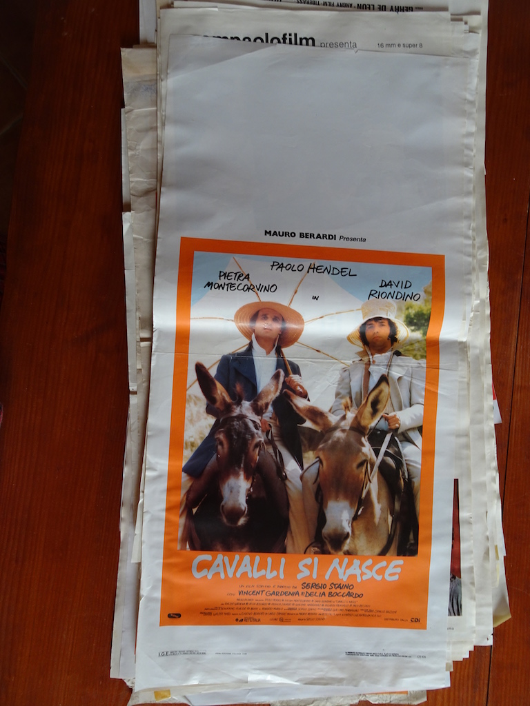 Cavalli si nasce