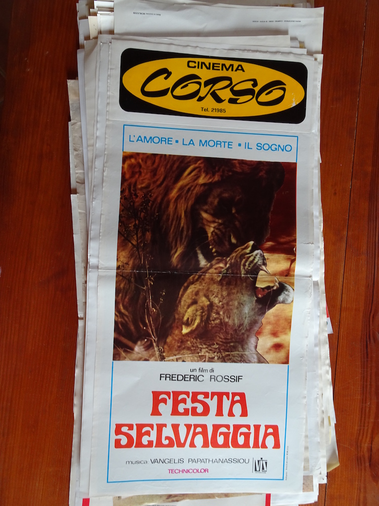 Festa selvaggia