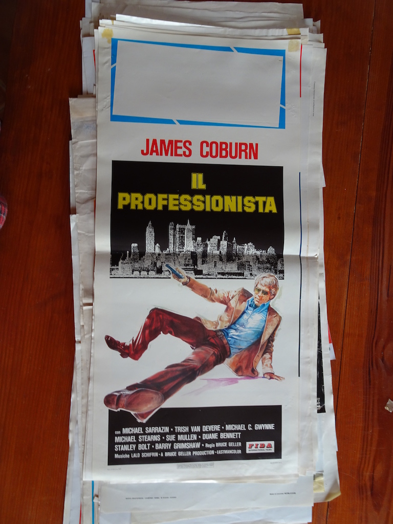 Il professionista