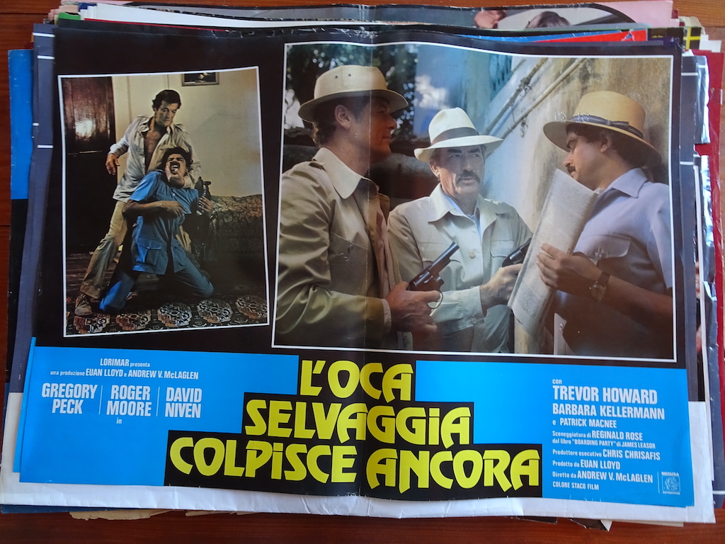L_oca selvaggia colpisce ancora 1