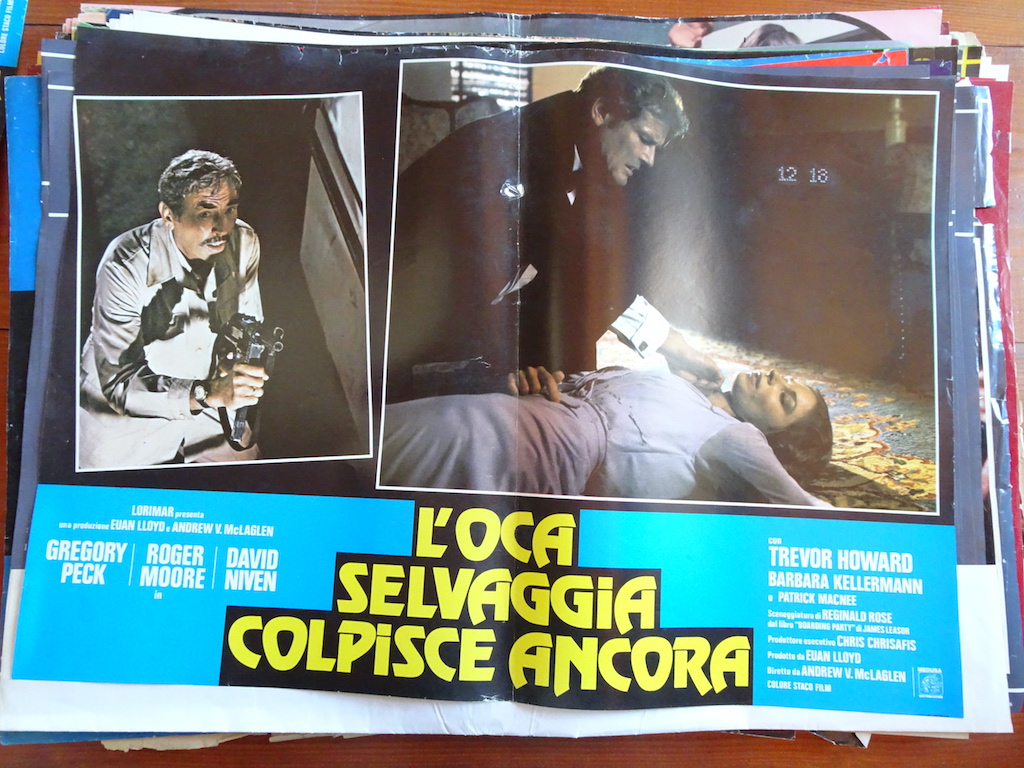 L_oca selvaggia colpisce ancora 2