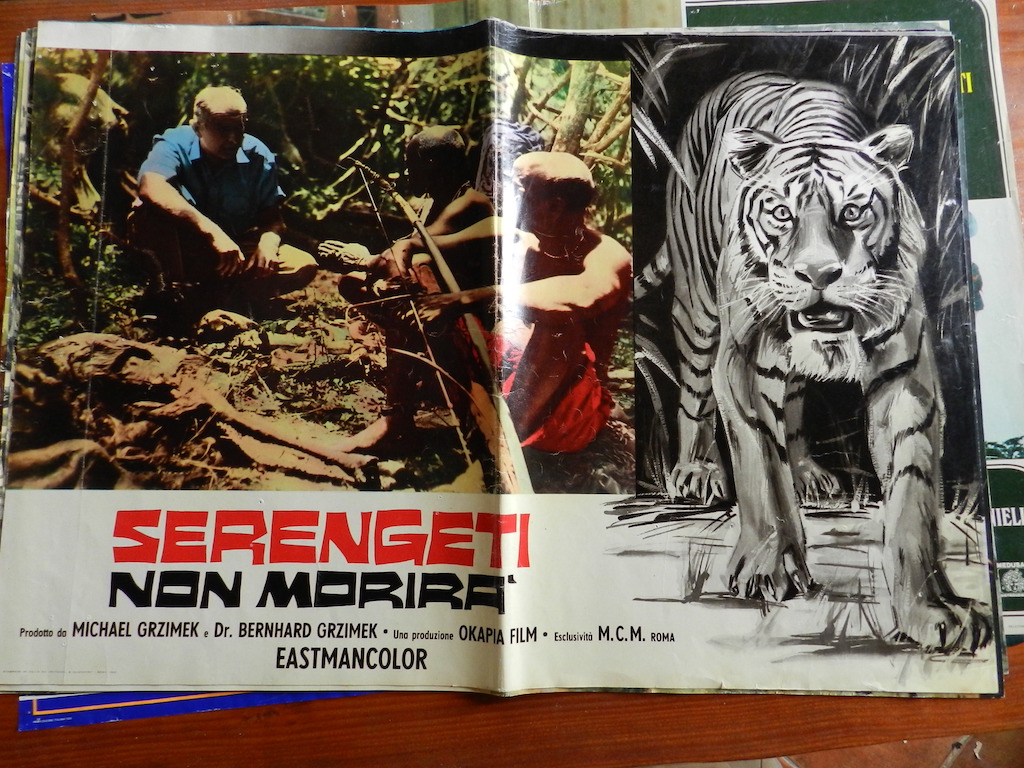 Serengeti non morirà 1