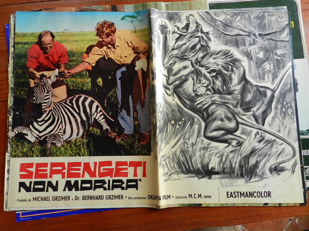 Serengeti non morirà 2