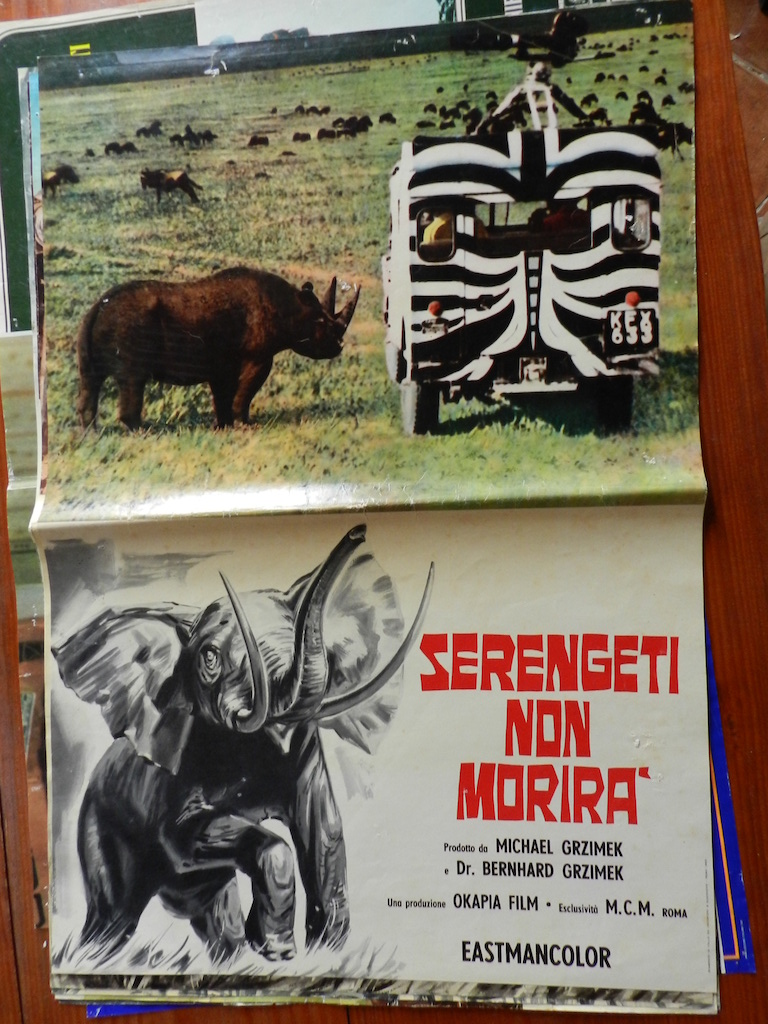 Serengeti non morirà 3