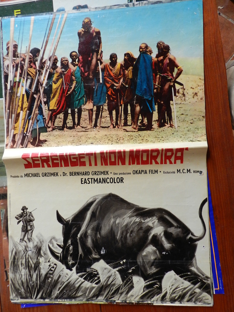 Serengeti non morirà 4