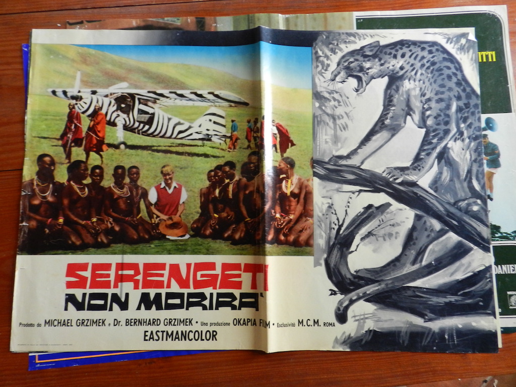 Serengeti non morirà 7