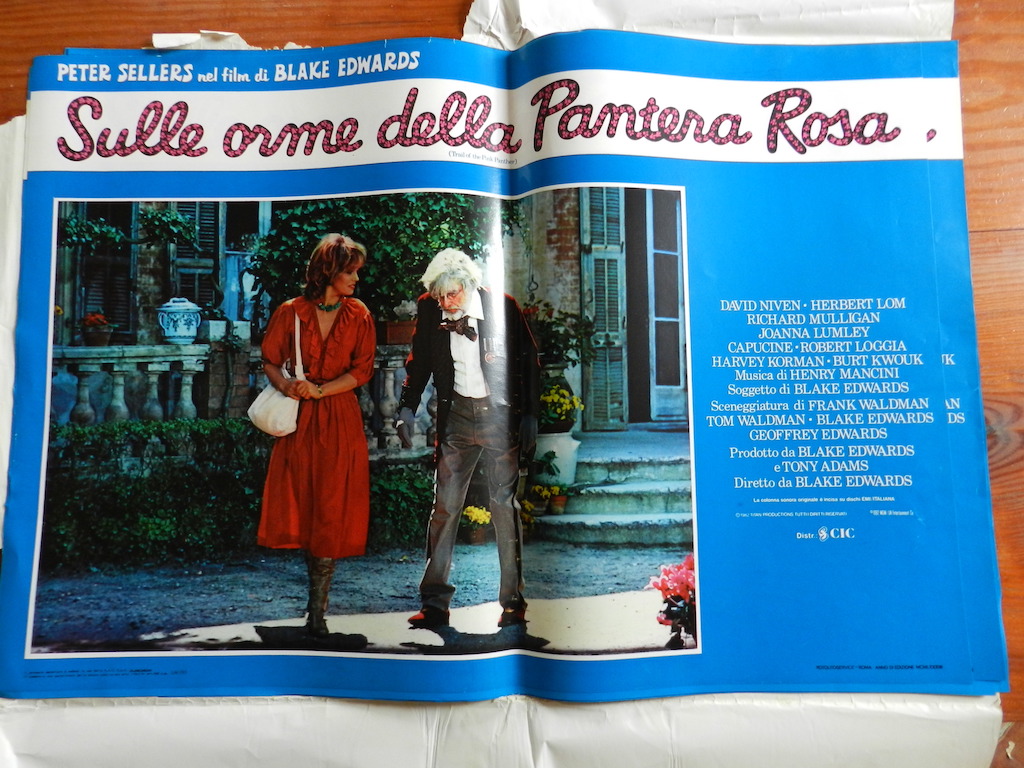 Sulle orme della Pantera Rosa 1