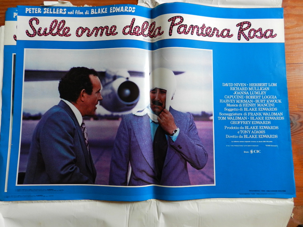 Sulle orme della Pantera Rosa 2