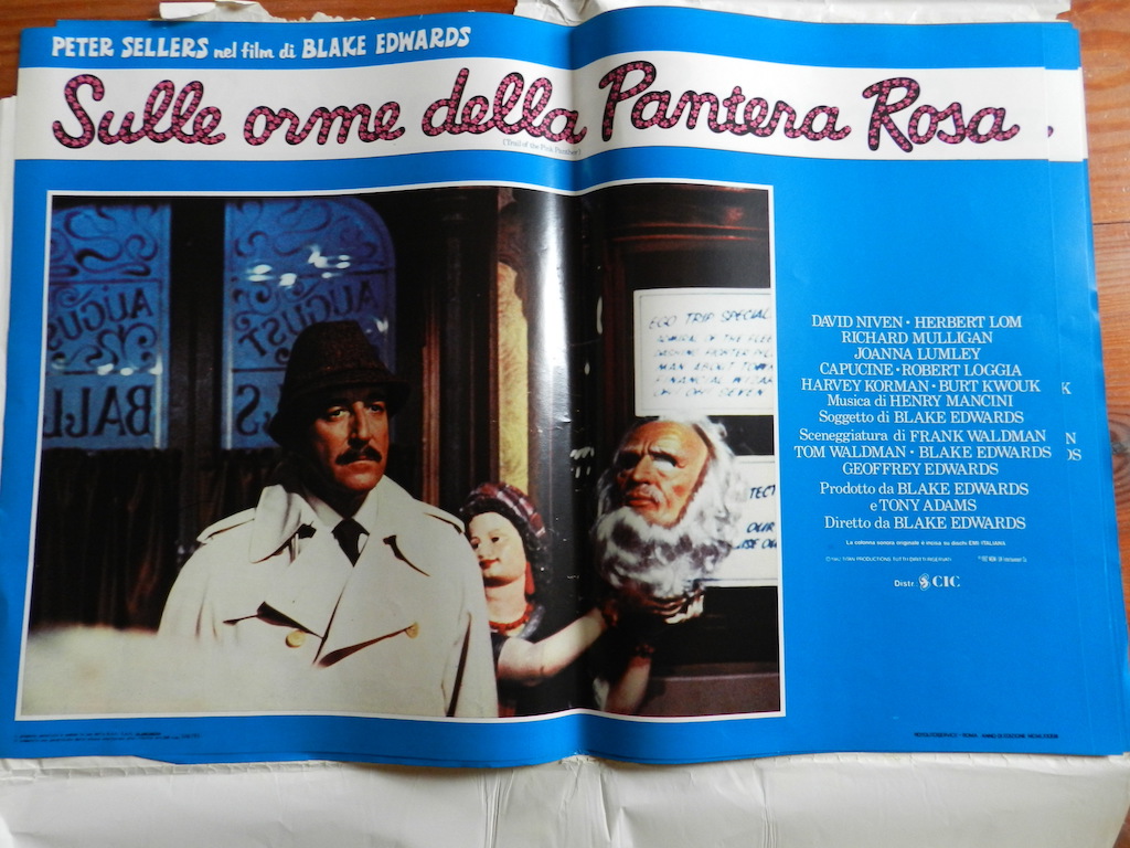 Sulle orme della Pantera Rosa 4