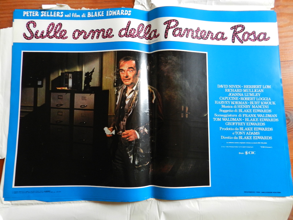 Sulle orme della Pantera Rosa 5