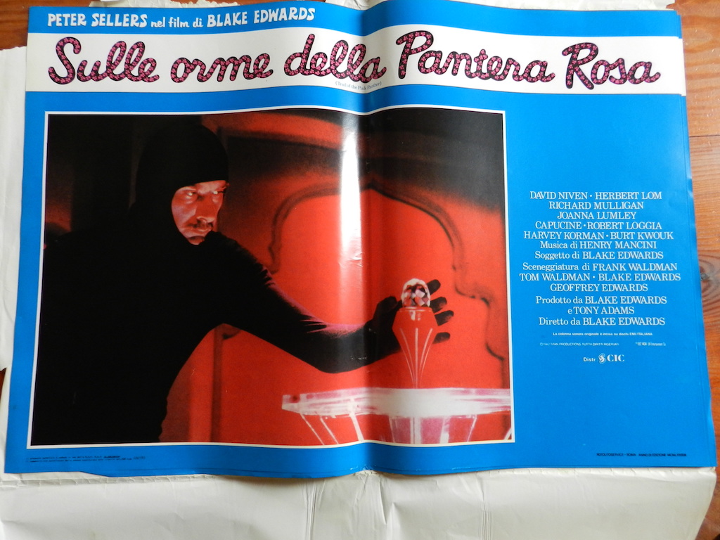 Sulle orme della Pantera Rosa 6