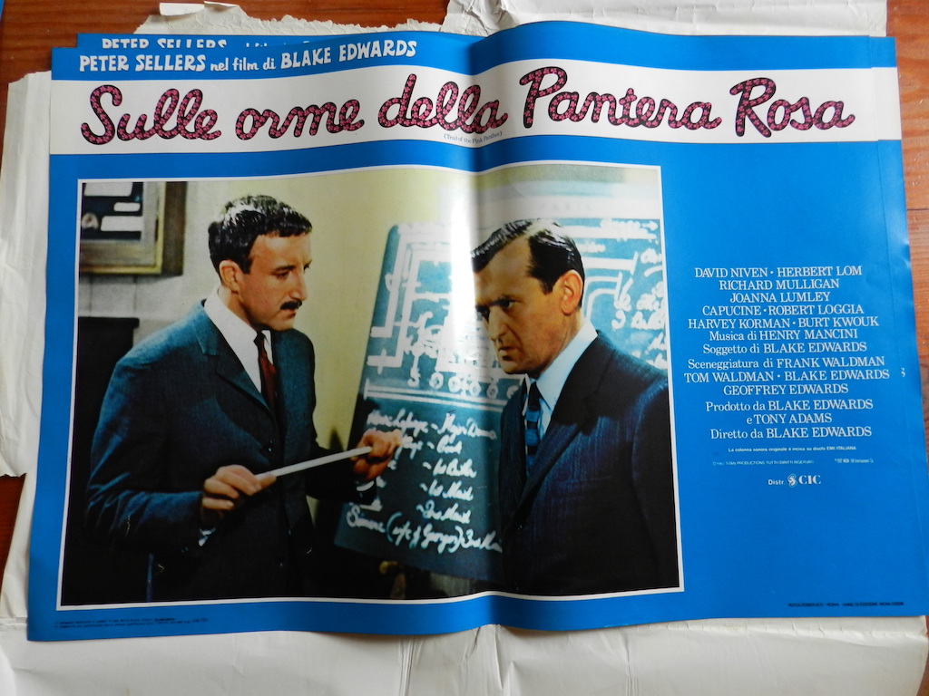 Sulle orme della Pantera Rosa 7